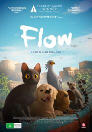 Flow